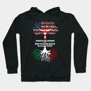 American Grown With Deep Italian Roots Italy Heart USA Hoodie